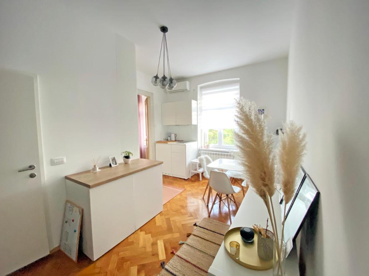 Bright Apartment 45M2 - Free Parking - Wifi Rijeka Eksteriør bilde